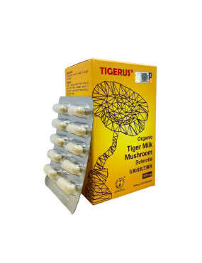 TIGERUS® 300mg Organic Tiger Milk Mushroom Sclerotia 60’s